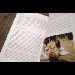 AUN, Cannibal Kings, Cosmic Healing and the Recovery of a Nordic Tradition