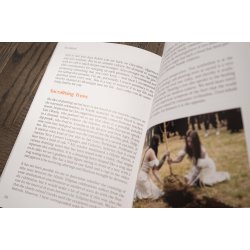 AUN, Cannibal Kings, Cosmic Healing and the Recovery of a Nordic Tradition