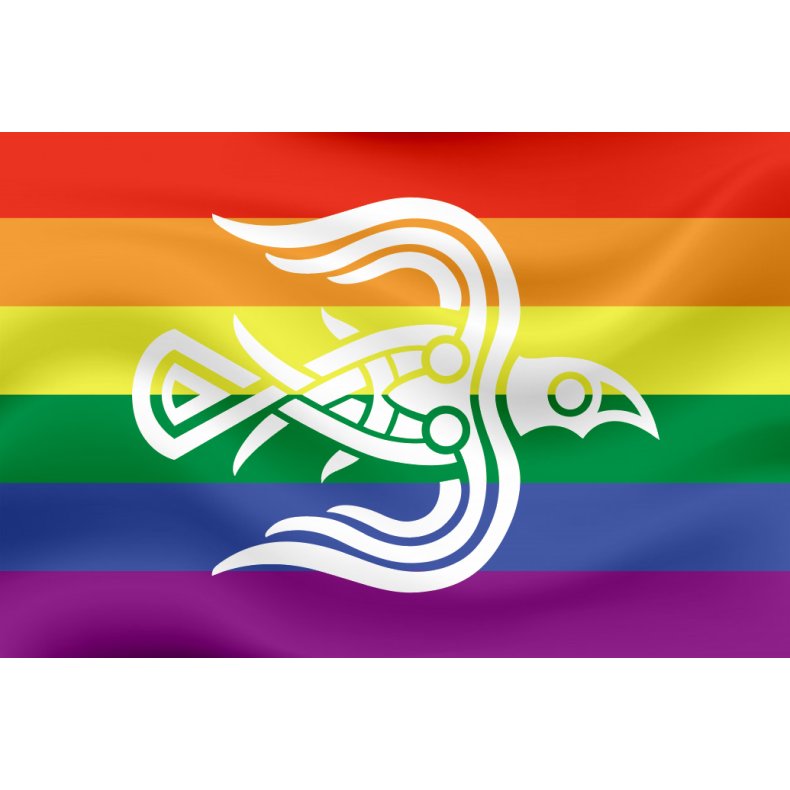 THE PRIDE RAVEN FLAG